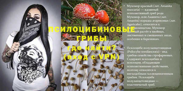 PSILOCYBIN Бугульма