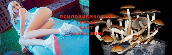 PSILOCYBIN Бугульма