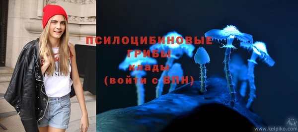 PSILOCYBIN Бугульма