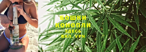 PSILOCYBIN Бугульма