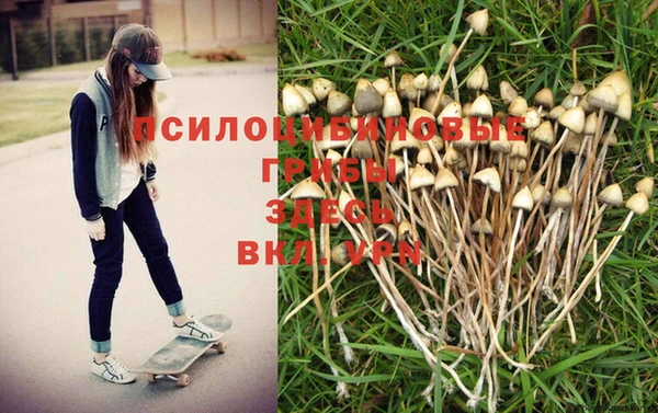 ALPHA-PVP Балахна