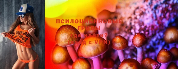 mdma Бородино